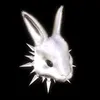 kittyakaszobanoveny