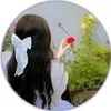 user2808418378383