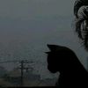un_gato132033