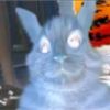 no_c_que_nombre_ponerme7