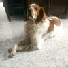 rita.isabel.borre4