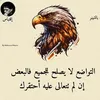 user4813387012094