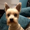teddy.beddy7