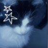celizoo121113