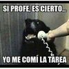 luis.eduardo.esqu5