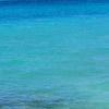renad.samir39
