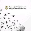 shroukashrf03