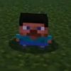 fervegetoo03