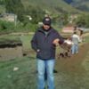 alfio.basile53