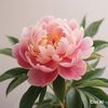 pinky.951