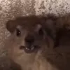 just_a_goofy_mff