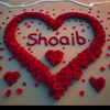 muhammad.shoaib.q23