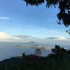 treezyg0