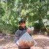 núi rừng 76🥷🦔🦡🦨🐿️🐝🥷🇻🇳