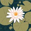 sanaz.certainty