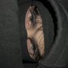 user_7_7_74