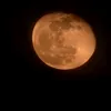 erinmonteroyo
