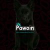 pawoin.world