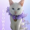 furrealsnowballandfriend