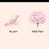 anushaaa890