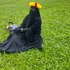 payel.akter145