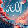 mahamed.ali635