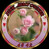 Pink Rose4542