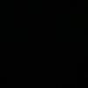 adam_201267