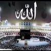 🫶سلێمانی تاجی سه رمه🫶