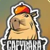 arayko01472
