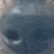 s829886