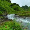 dhan.kumari.poude1