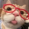 pincessxy