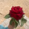 user85465179593000