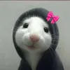 bibbi12345