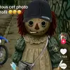 owen_oficielle1