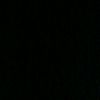 shm._515