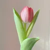 rosa37679