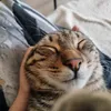 davidalexandrov82