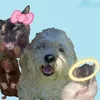 bear.the.hamsterrrr