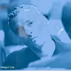 denirorober