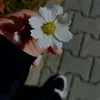 __aiiic3