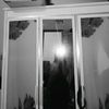 syavvv211