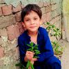 rifat.shoaib1