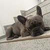 matteo_gonzalez77