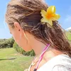 bebecca06011