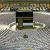 elafyouseef1