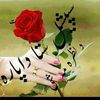 nizam.kkhan