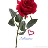 user9949568155317