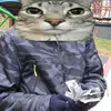 koscat_t